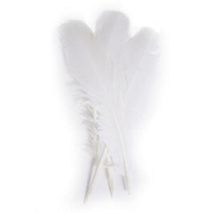 Turkey Feathers White 6/pk