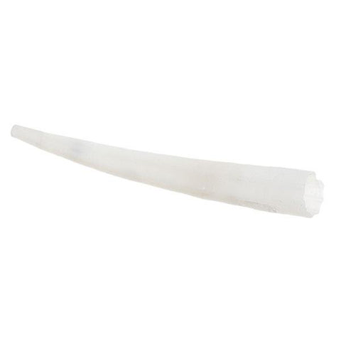 Small Ridged Dentalium Shells 1 oz – i-Bead Inc.