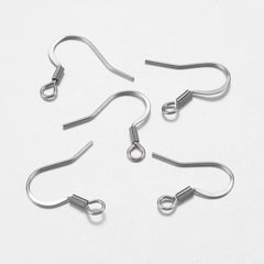 Stainless Steel Fish Hook Earrings 10/pk