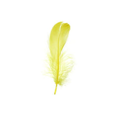 Goose Feathers Yellow 6g