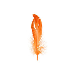 Goose Feathers Orange 6g
