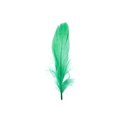 Goose Feathers Green 6g