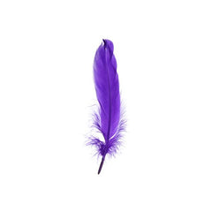 Goose Feathers Purple 6g