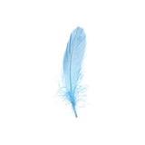 Plumes d'Oie Turquoise 6g
