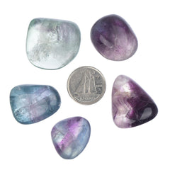Fluorite Tumbled Stone - Each