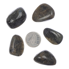 Labradorite Tumbled Stone - Each