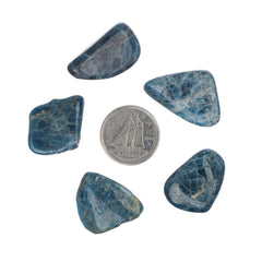 Apatite Blue Tumbled Stone - Each