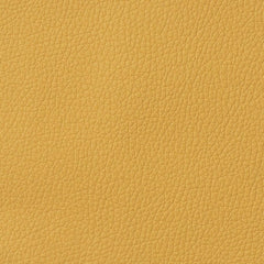 Faux Leather Gold 20x34cm Sheet