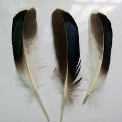 Duck Feathers Natural 50/pk