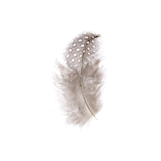 Guinea Fowl Feathers 2-3" Natural 3g