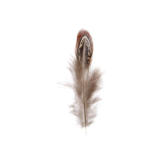 Pheasant Feathers 2-3" Natural 3g