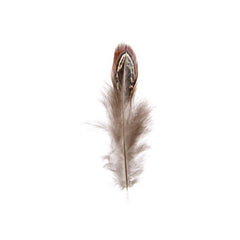 Pheasant Feathers Natural 3g
