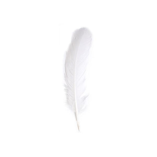 Turkey Quills 10-12" White 6/pk