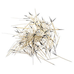 Natural Porcupine Quills 14g