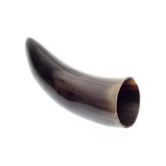 Polished Buffalo Horn
