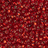 10/0 Czech Seed Beads #024 Silver Lined Red 22g