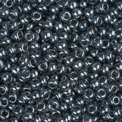 10/0 Czech Seed Beads #095 Tr Black Diamond Luster 22g