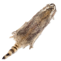 Raccoon Fur Pelt