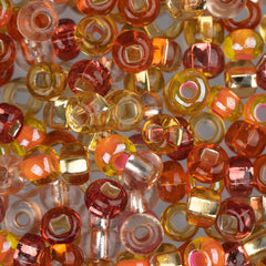 6/0 Czech Seed Beads #067 Silver Lined Orange Mix 22g