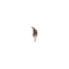 Rooster Furnace Saddle Feathers Natural 3g