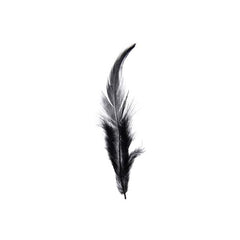 Rooster Saddle Hackle Feathers Black 3g