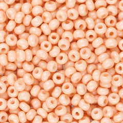 11/0 Czech Seed Beads #40009 Matte Light Orange 23g