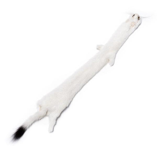 Ermine Fur Pelt