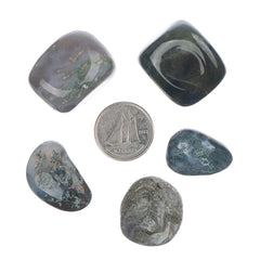 Agate Green Moss Tumbled Stone - Each