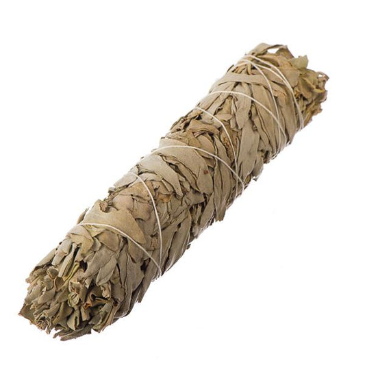 Smudge Stick 8-9" White Sage 1/pk